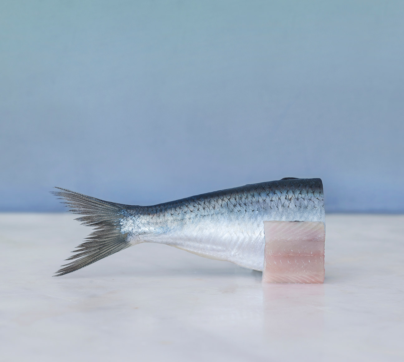 Norwegian herring